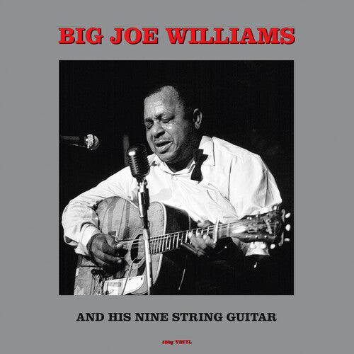 WILLIAMS,BIG JOE - & HIS NINE STRING GUITAR