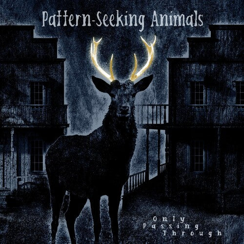 PATTERN-SEEKING ANIMALS - ONLY PASSING THROUGH