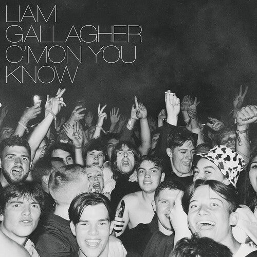 GALLAGHER,LIAM - C'MON YOU KNOW