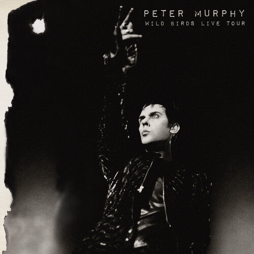 MURPHY,PETER - WILD BIRDS LIVE TOUR