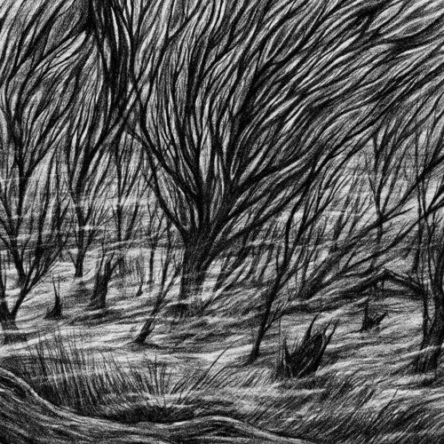 BISMUTH - ETERNAL MARSHES