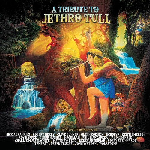 TRIBUTE TO JETHRO TULL / VARIOUS - TRIBUTE TO JETHRO TULL / VARIOUS