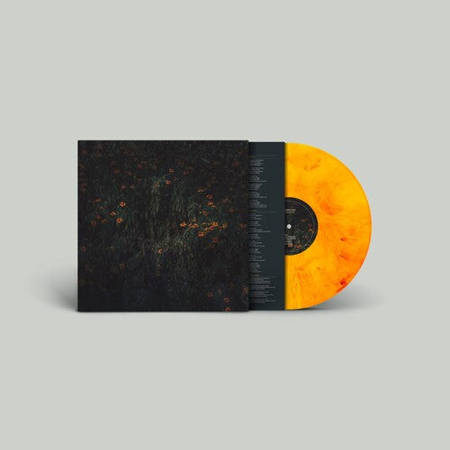 COMPRO ORO - ESTARANTOS