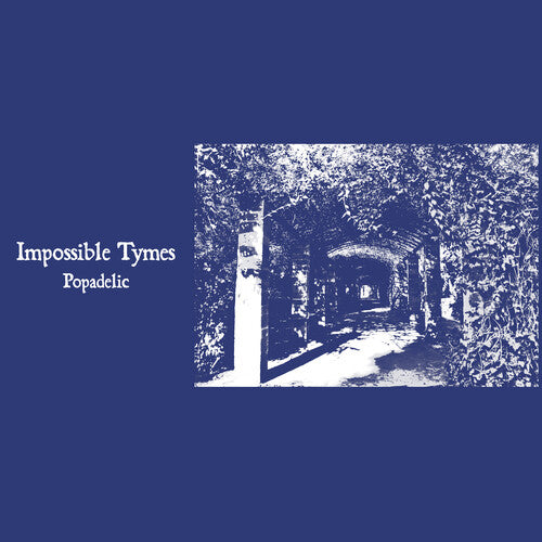 IMPOSSIBLE TYMES - POPADELIC