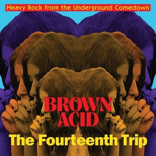BROWN ACID - FOURTEENTH TRIP / VARIOUS ARTISTS - BROWN ACID - FOURTEENTH TRIP (VARIOUS ARTISTS)