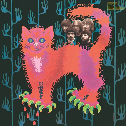 PUSSY - PUSSY PLAYS
