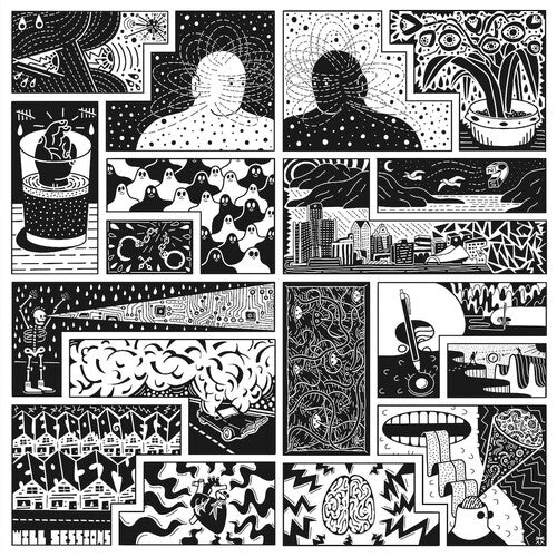 Will Sessions – Electromagnetic Reality