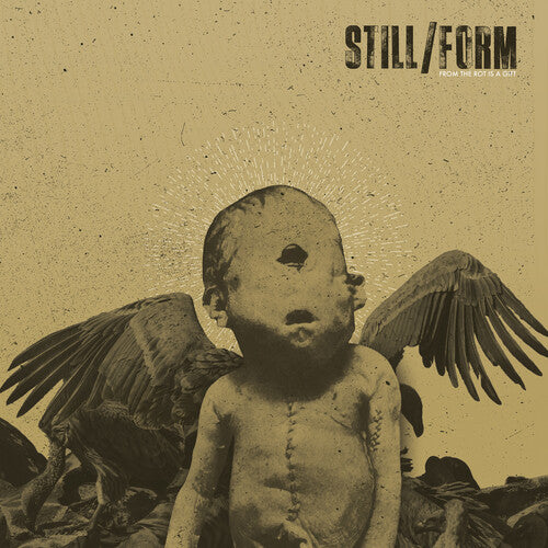 STILL/FORM - FROM THE ROT IS A GIFT