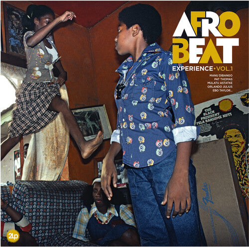 AFROBEAT EXPERIENCE - VOL 1