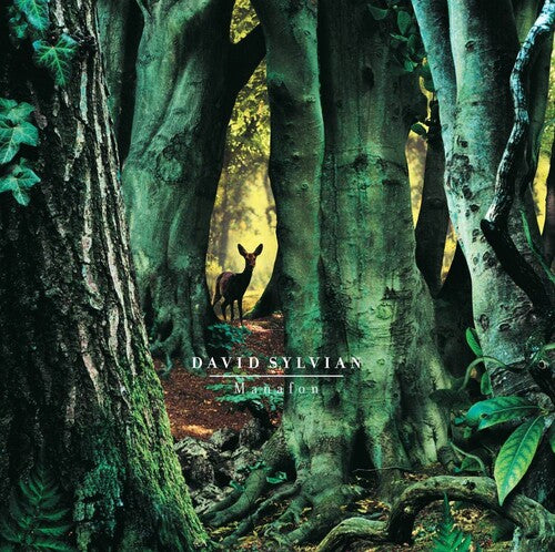 SYLVIAN,DAVID - MANAFON