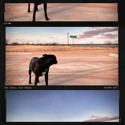 PLATO III - DEVIL HAS TEXAS - CLEAR DARK TEAL