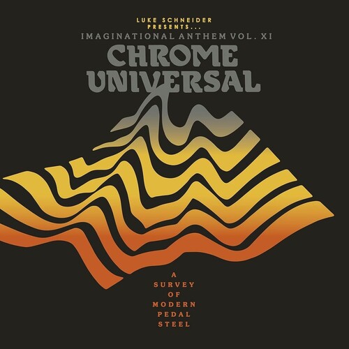 LUKE SCHNEIDER IMAGINATIONAL ANTHEM XI / VAR - LUKE SCHNEIDER PRESENTS IMAGINATIONAL ANTHEM / VAR