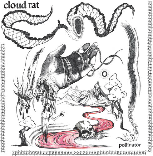 CLOUD RAT - POLLINATOR