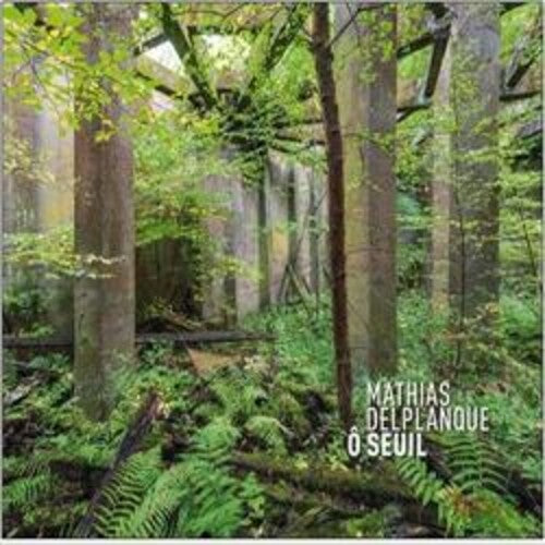 DELPLANQUE,MATHIAS - O SEUIL