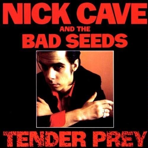 CAVE,NICK & BAD SEEDS - TENDER PREY