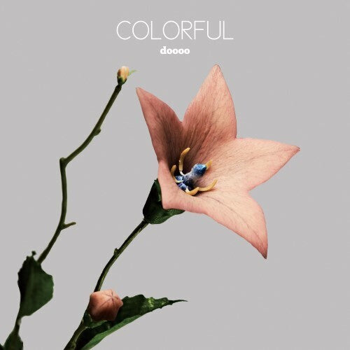 Doooo – Colorful