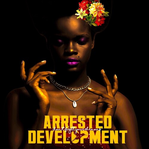 ARRESTED DEVELOPMENT - DON'T FIGHT YOUR DEMONS