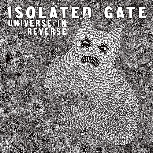 ISOLATED GATE - UNIVERSE IN REVERSE