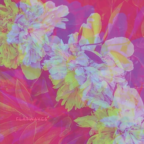 FLATWAVES - NUMBRA