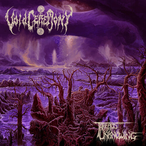 Voidceremony – Threads Of Unknowing