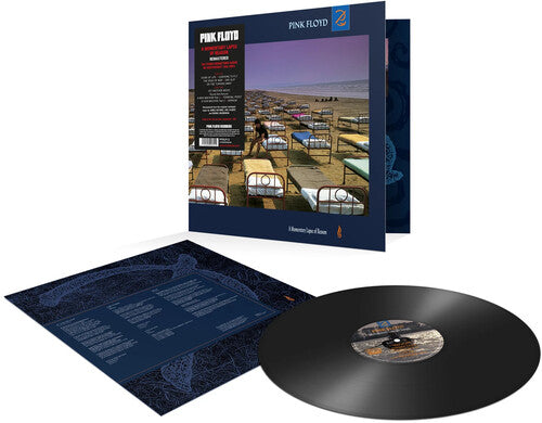 PINK FLOYD - MOMENTARY LAPSE OF REASON