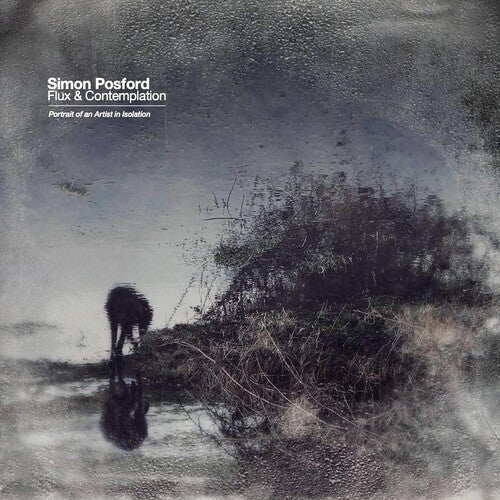 POSFORD,SIMON - FLUX & CONTEMPLATION: PORTRAIT OF AN ARTIST IN