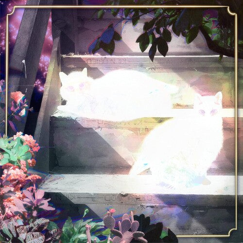 Scary Jokes – Retinal Bloom