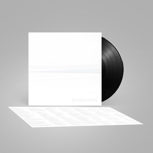 Foo Fighters – But Here We Are (Black Vinyl)
