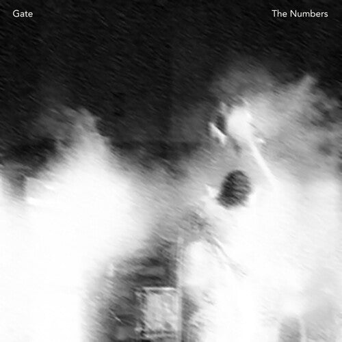 GATE - NUMBERS