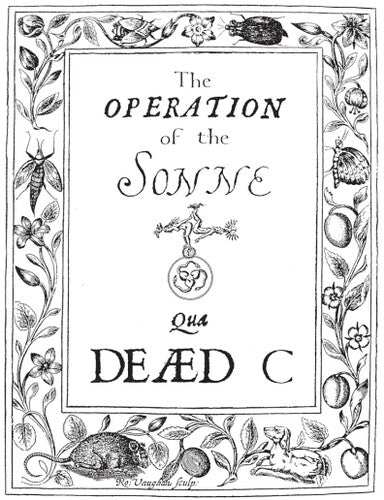 DEAD C - OPERATION OF THE SONNE