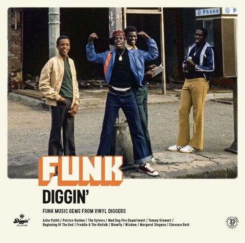 FUNK DIGGIN / VARIOUS - FUNK DIGGIN / VARIOUS