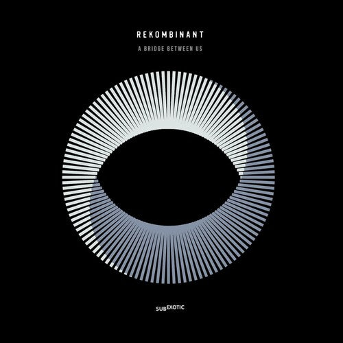 REKOMBINANT - BRIDGE BETWEEN US