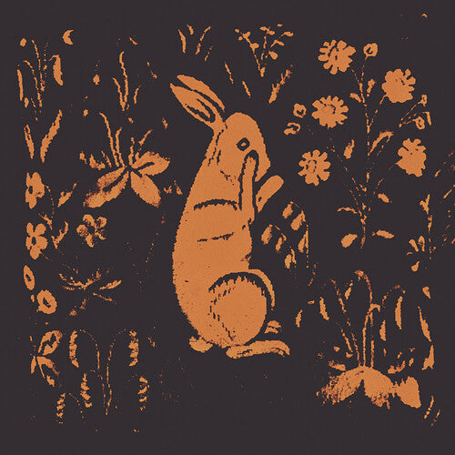 Sadness – Rabbit Album