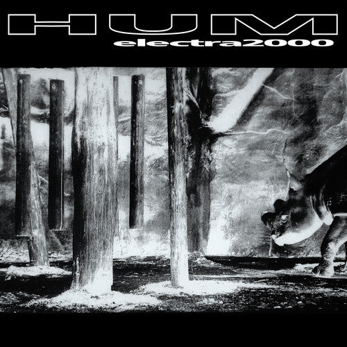 HUM - ELECTRA 2000