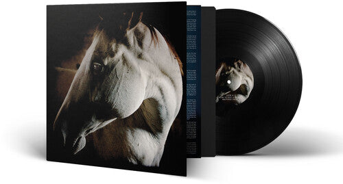 BROTHER DEGE - HOW TO KILL A HORSE