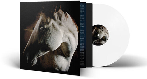 BROTHER DEGE - HOW TO KILL A HORSE