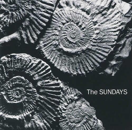 SUNDAYS - READING, WRITING, AND ARITHMETIC