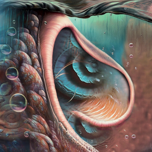 Various Artists – Meddle Reimagined: A Tribute To Pink Floyd