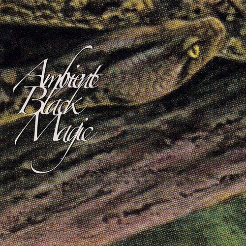 RAINFOREST SPIRITUAL ENSLAVEMENT - AMBIENT BLACK MAGIC