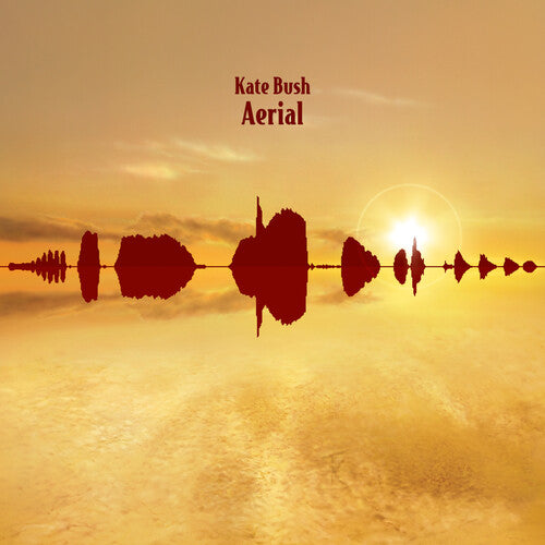 BUSH,KATE - AERIAL