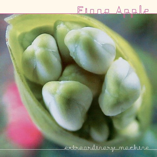 APPLE,FIONA - EXTRAORDINARY MACHINES