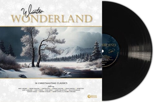 WINTER WONDERLAND / VARIOUS - WINTER WONDERLAND / VARIOUS