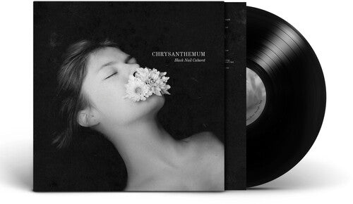 BLACK NAIL CABARET - CHRYSANTHEMUM