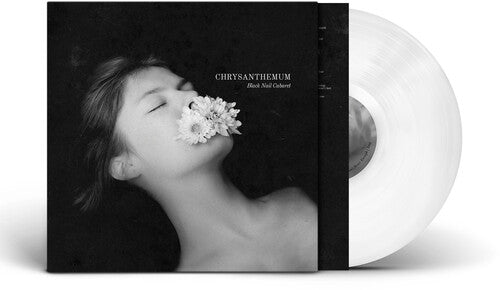 BLACK NAIL CABARET - CHRYSANTHEMUM - SOLID WHITE