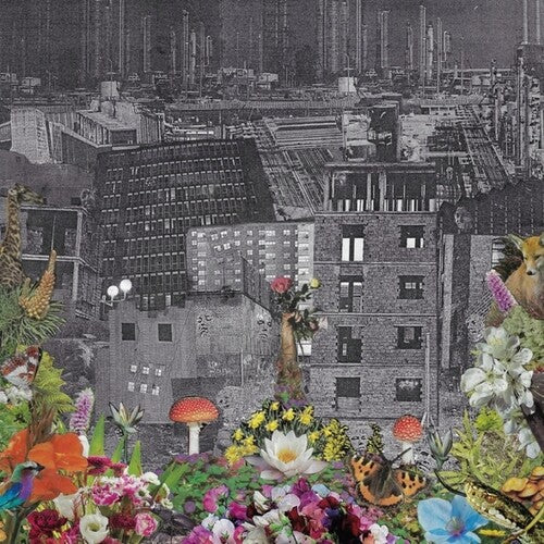 BLOODY HEAD - PERPETUAL EDEN