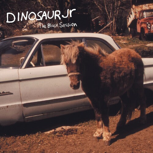 DINOSAUR JR. - BLACK SESSION: LIVE IN PARIS 1993