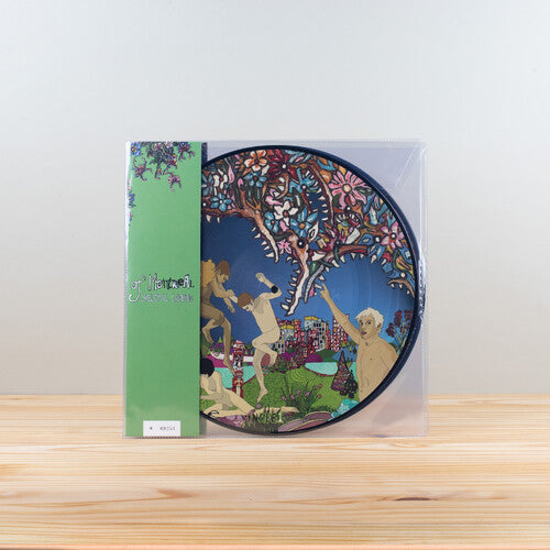 OF MONTREAL - SKELETAL LAMPING