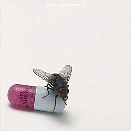 RED HOT CHILI PEPPERS - I'M WITH YOU