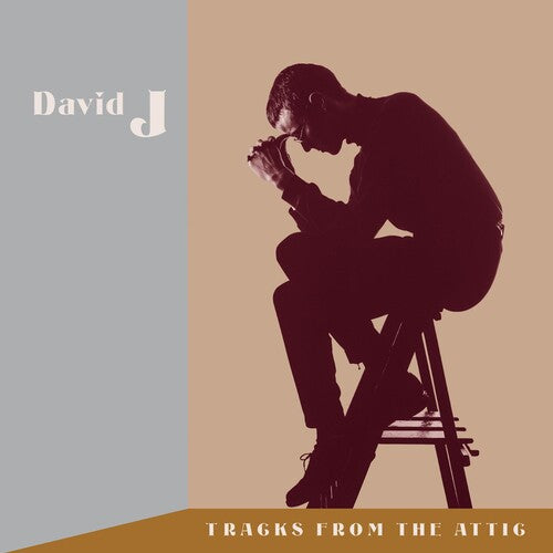 DAVID J - TRACKS FROM THE ATTIC