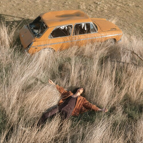 ROTHMAN,LAWRENCE - PLOW THAT BROKE THE PLAINS